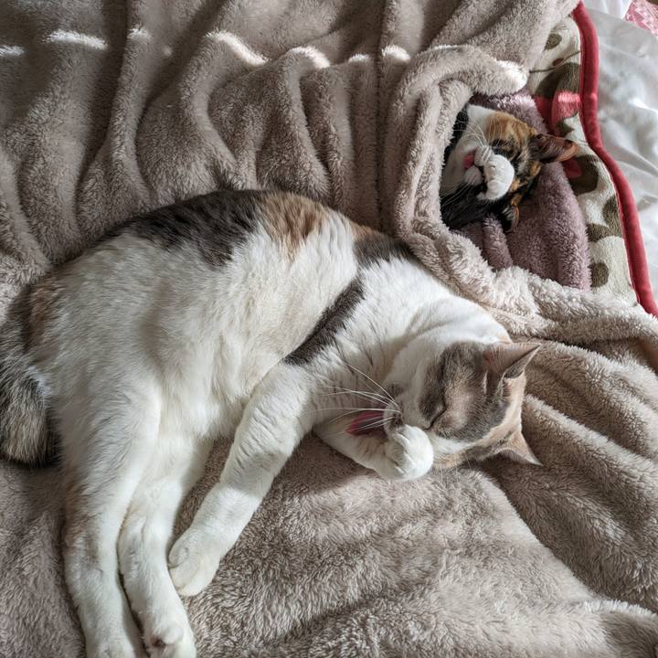 F4230a01 7c80 4840 8d09 80c06af9e541 1706239938489