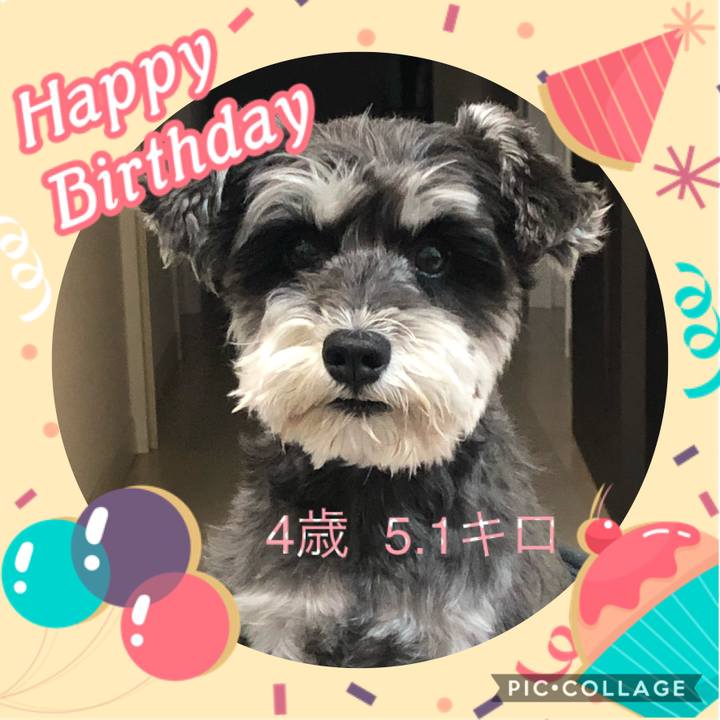 F42313e2 378d 4bff 81b5 7367b74c5486 1589794587754