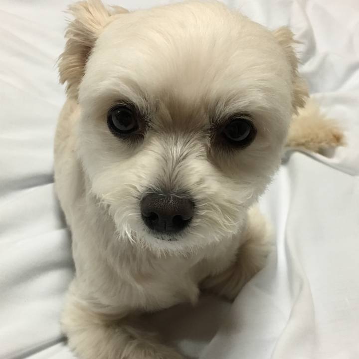 F4231f50 a05c 42e2 9d95 94e187c235da 1560681398781