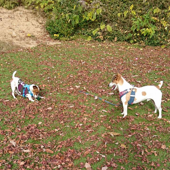 F42327d1 abfc 4898 a1f7 71a36cd04222 1605784896363