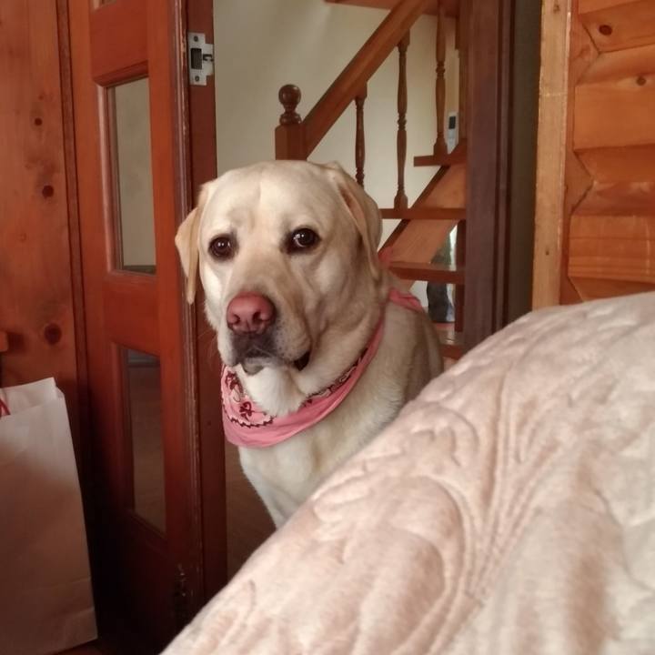 F423347f 766e 4b80 825b d2874889b00e 1552282565724