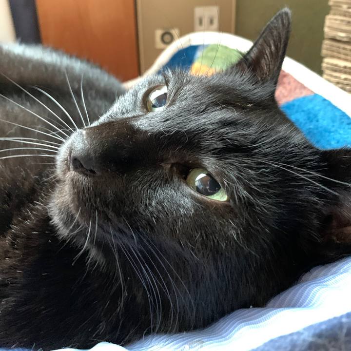 F4233c9e 2e4d 427d a4cd 7ee9ad10b19e 1569805763538