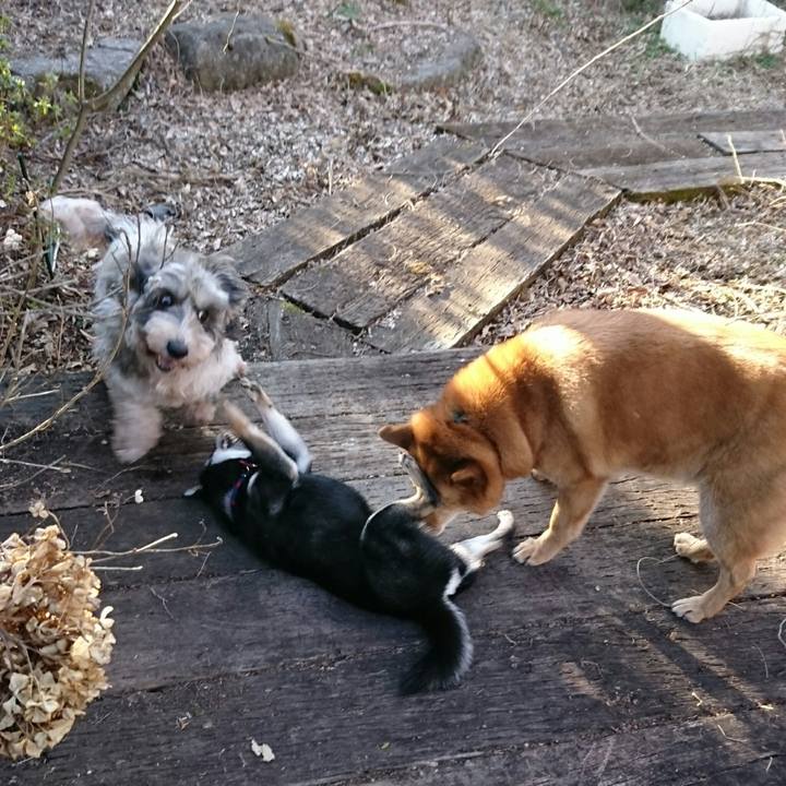 F42344fb 489e 4fa4 ae34 8b90315a534a 1521967650858