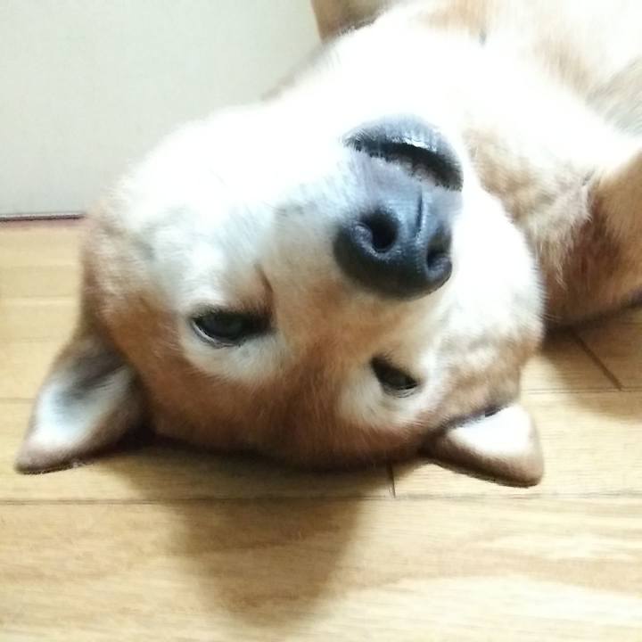 F4236270 a17f 4549 94b1 127808ed1143 1621645083770