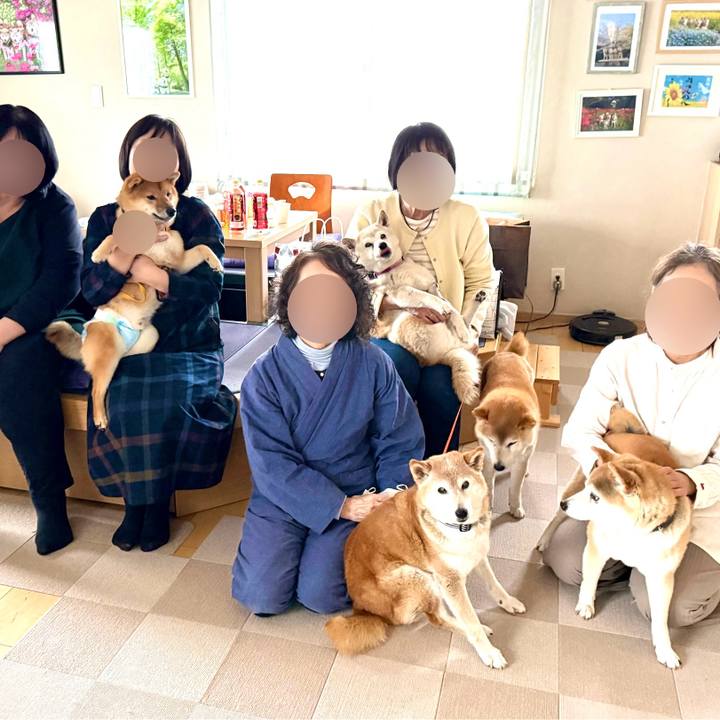 F4236c41 8d17 4c58 81cc 119f8525279b 1775050106624