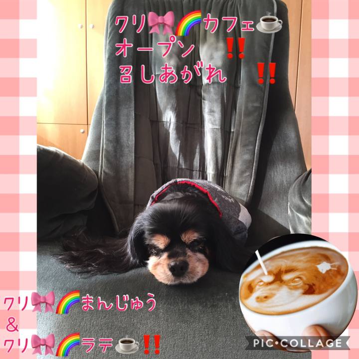 F4238d8e fb0f 46f3 9e7a 17ec6ad40aae 1585377158543