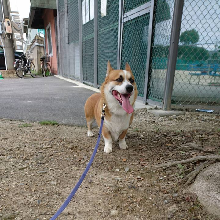 F423a546 fa4a 487c 9a45 3aa344b65760 1594629216714