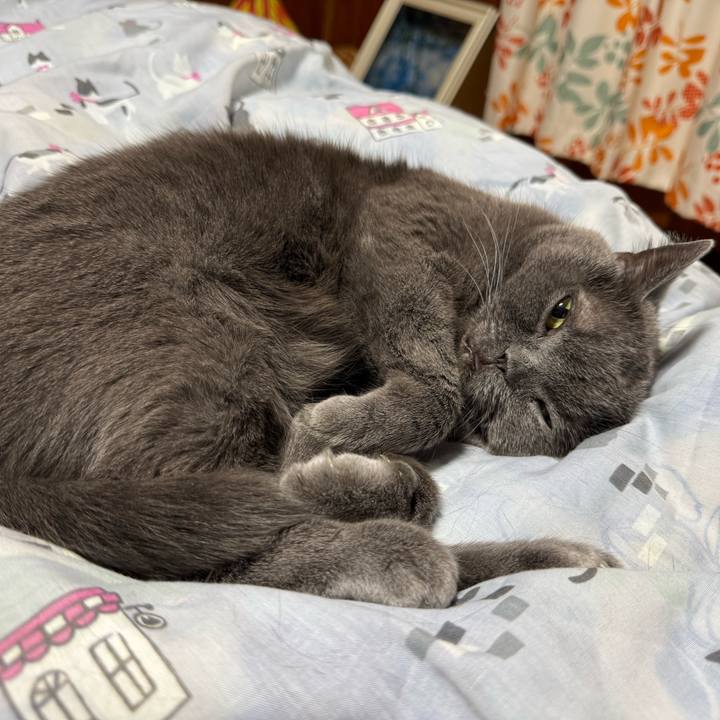 F423b2f1 78d3 4f2d 813d cc1f842f6de8 1761732615095