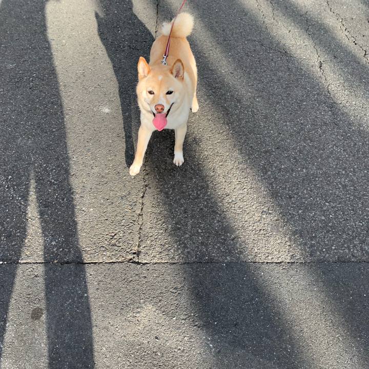 F423cbd5 a487 4a5a b526 5850d603a55c 1656195748951