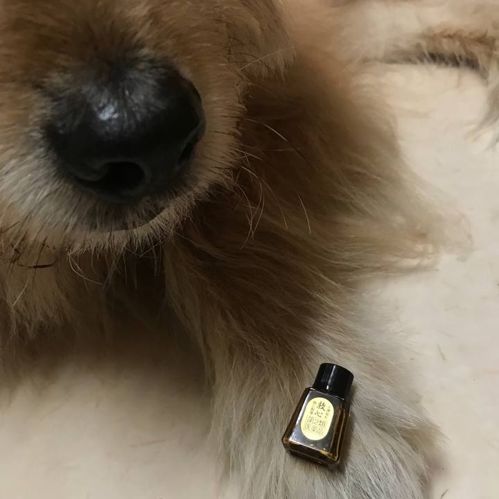 F42402e6 1beb 4b24 939c 64f05a277b91 1553002844521