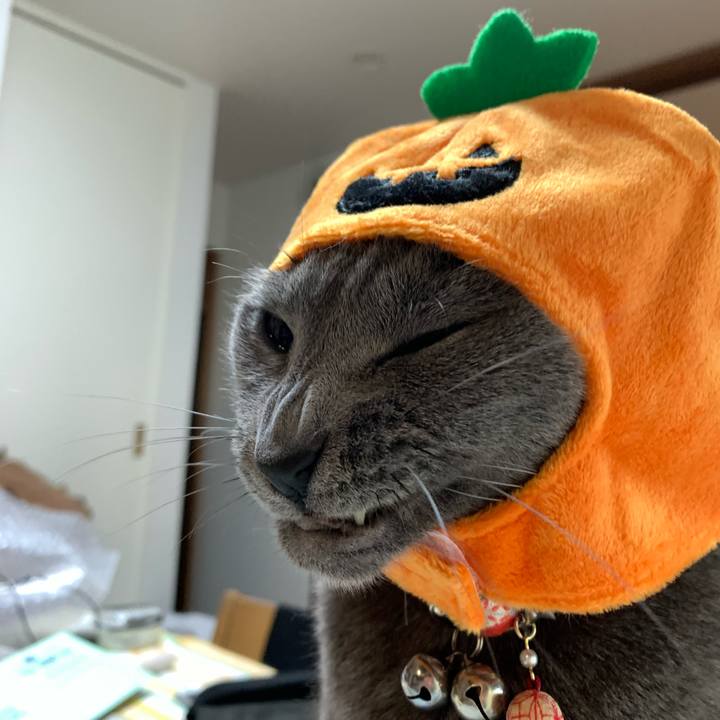 F42404c7 7690 4222 a90e 44b0014b89f8 1603671137801