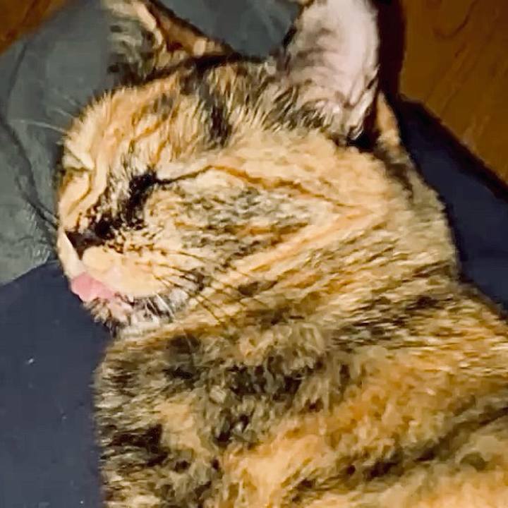 F42407d5 8141 4fe4 b51d a4eea93b7f21 1728676655303