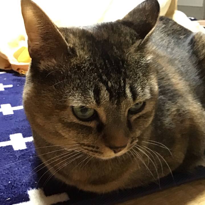 F42431b2 bb3b 4a4f 9292 cf54fd1a8c55 1737018173535