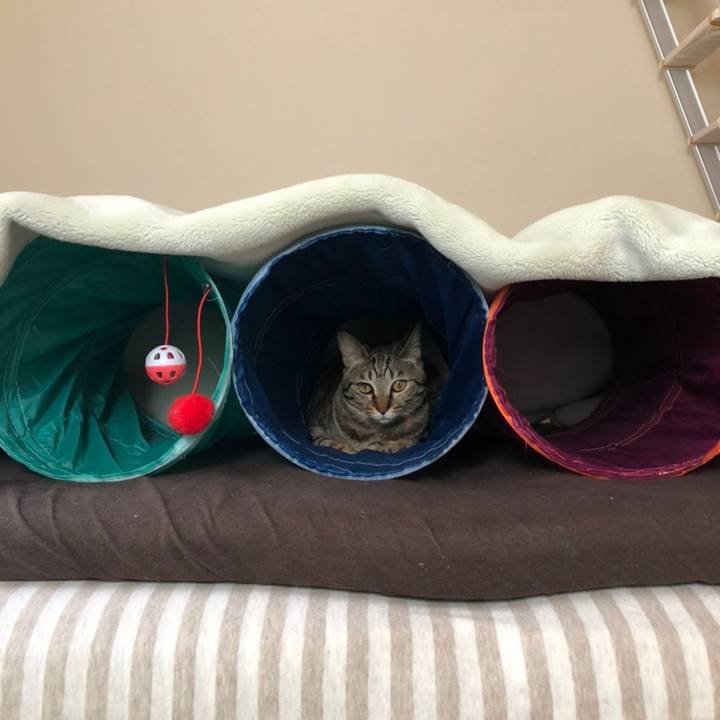 F4246cf0 b449 4a85 bb7e 3bd5fa4db02a 1558528589529