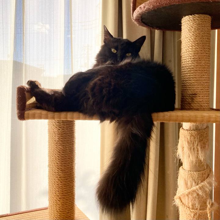 F42476e9 4b5c 4b66 aca2 21fccb94405e 1738825557031