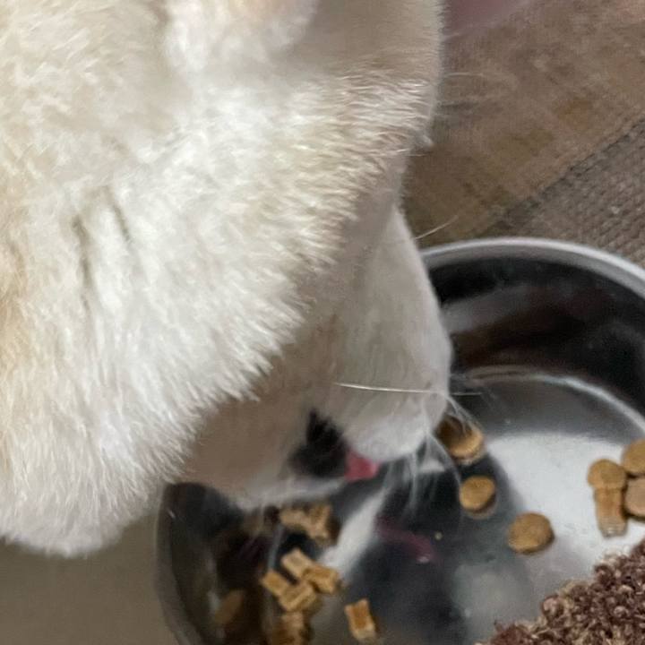 F4248ae0 8f8a 41c3 83b6 c831fc48112e 1673007496601