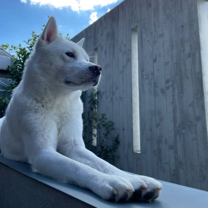 F424abe4 5e6d 44f0 88dc 2dce5e6b9a1e 1639390055084