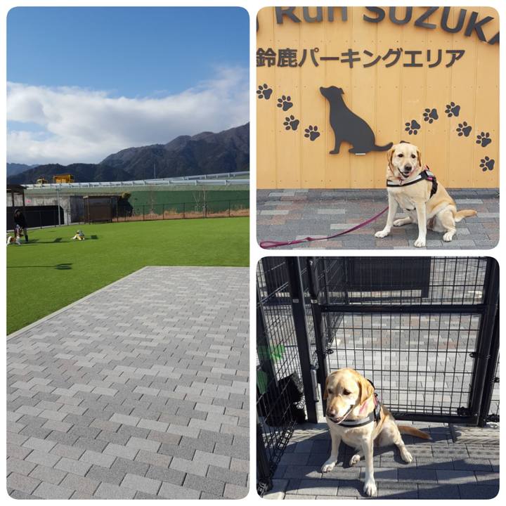 F424b7d4 29b0 4e23 ab48 4ea66418cef9 1580131581241