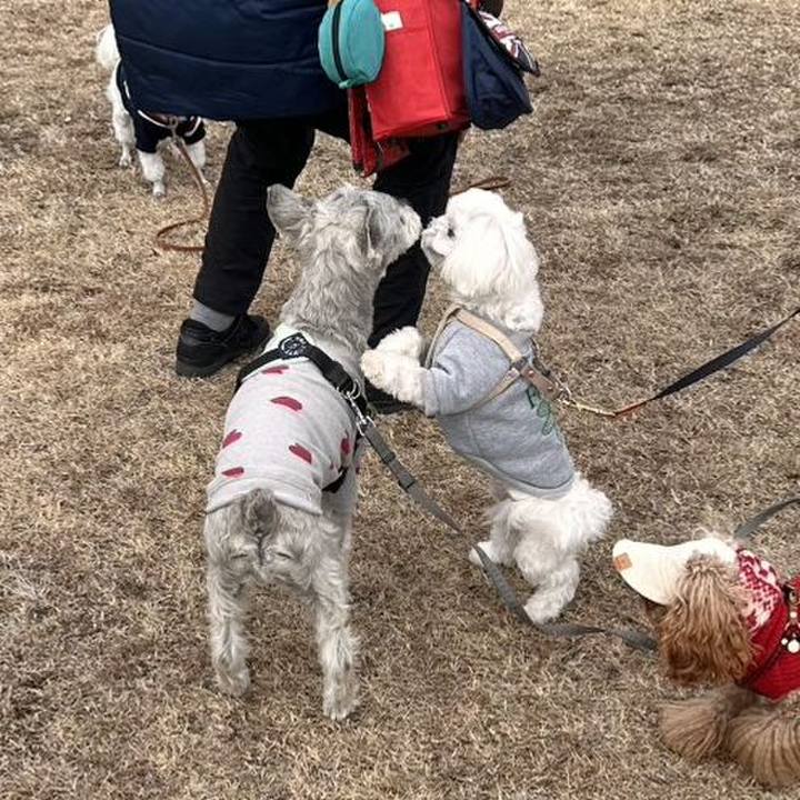 F424be1a a058 458e 835c 27afe100d74c 1771329224292