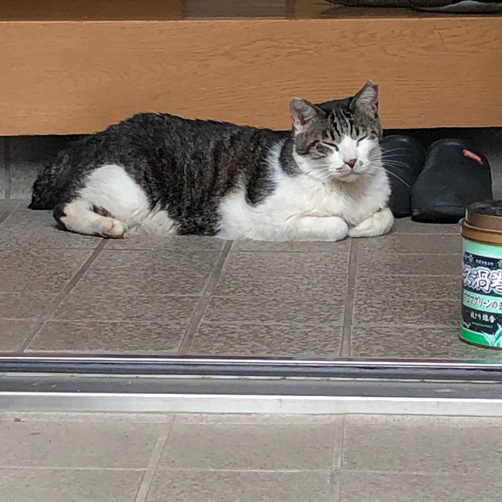 F424f9b6 c8f0 4371 b9c1 f75f3767c650 1592640239765