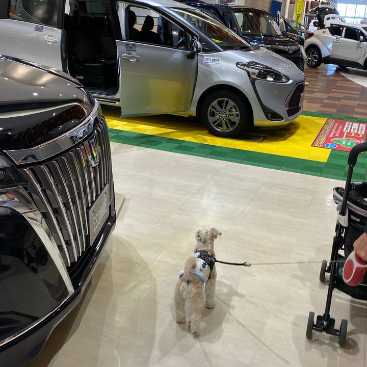 F4251d2d 04ca 493e a722 aa8831025b3d 1572668962523