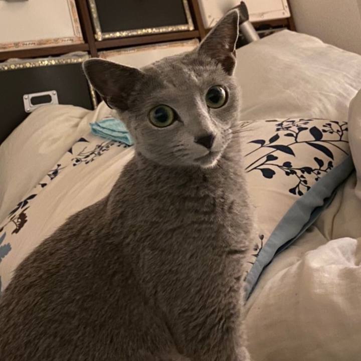 F42550b7 4c18 4545 a4c1 9173107f6776 1625402308198