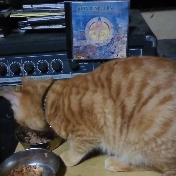 F4258516 bb2f 4c1a b620 4080dd6646bd 1642076282499