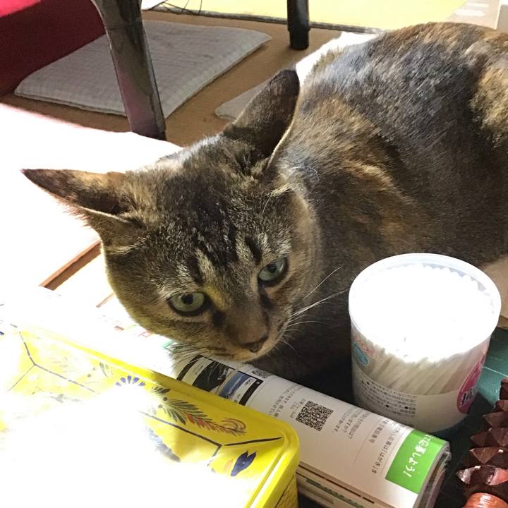 F42585f7 b74c 4488 b19f a185080cf2ac 1691412687390