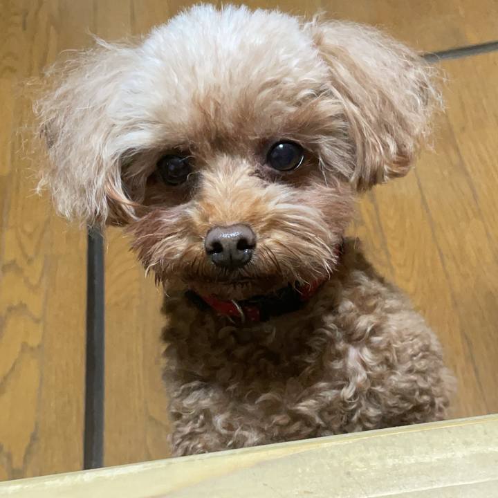 F425d2ab bc49 4033 b267 083925186c10 1704534510357