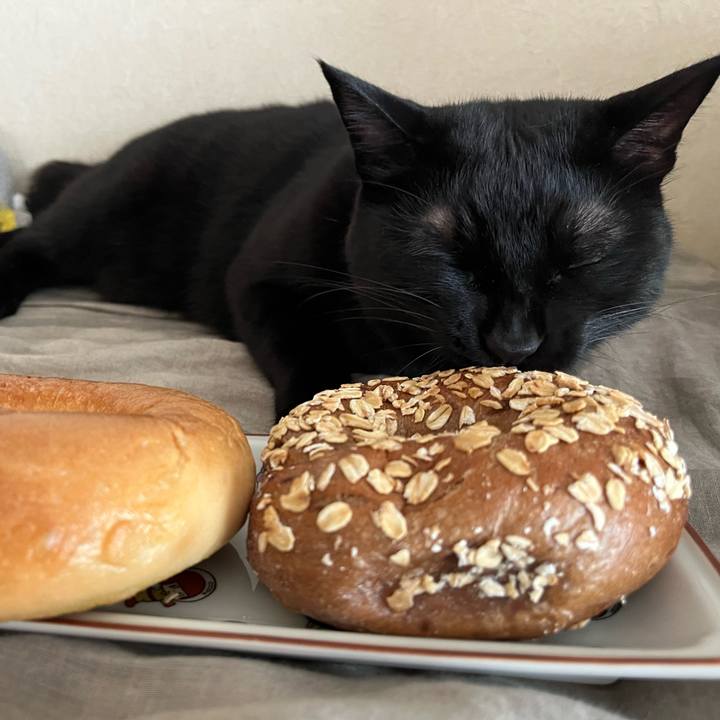 F425e24b 4e8e 4fe9 a002 6a9841ef8da3 1754888591272