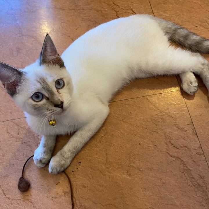 F4260e3f 4860 47b3 902c 38e145f2a74f 1631963140343