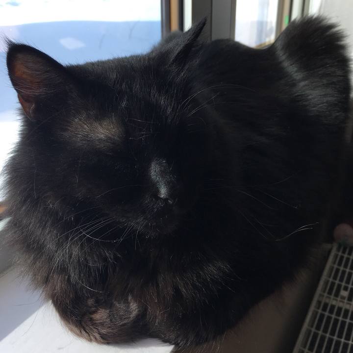 F4263b1d 7e31 4b1e 9bf0 43be6fc69672 1517114499558