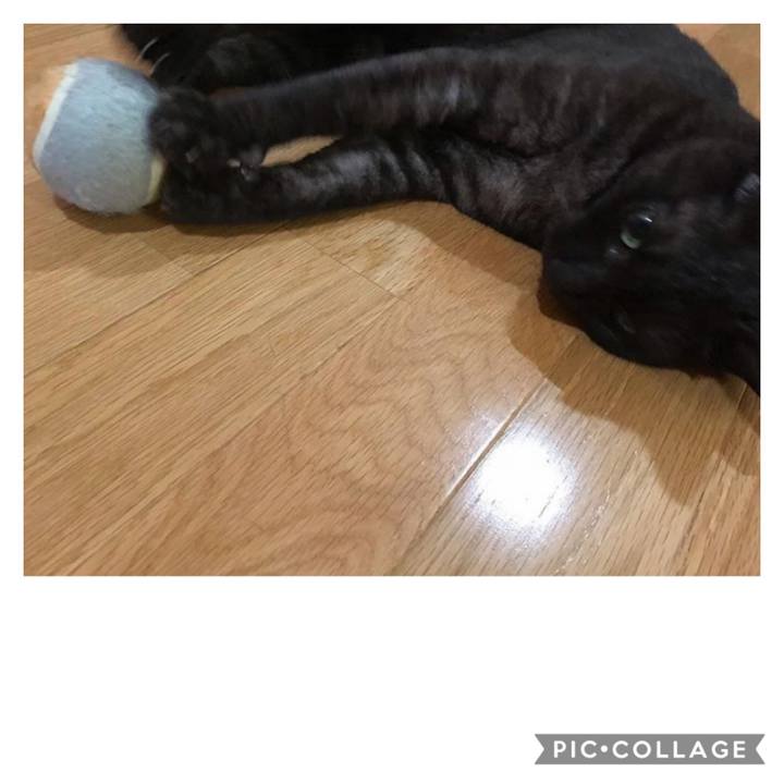 F4264a22 cc49 4e63 8bf5 7f37dbe5e81e 1598482264350