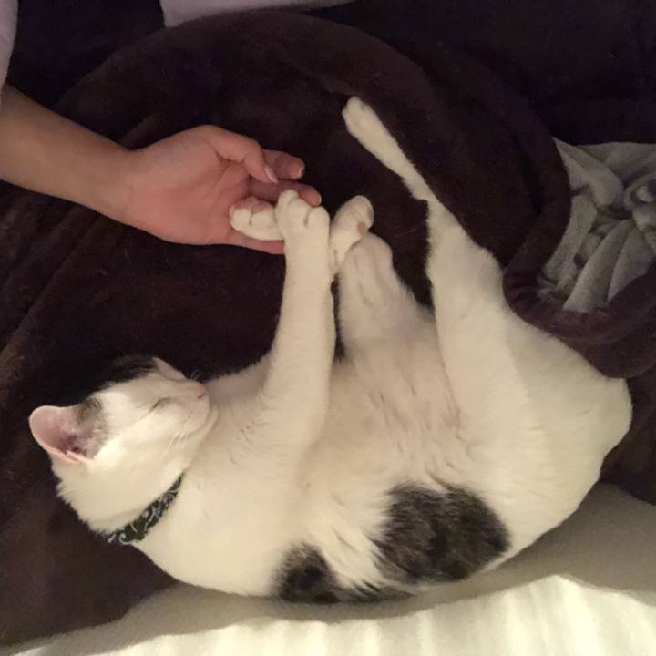 F426667d e733 4152 9d6a a90db26ab863 1561505794206