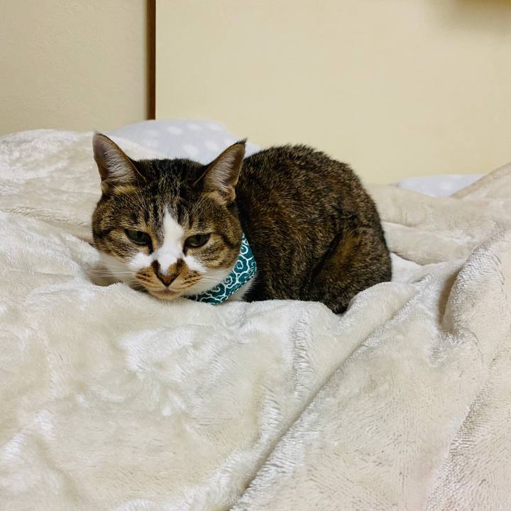 F42672ef 251d 4792 8c85 97d3f47bc512 1573296752856