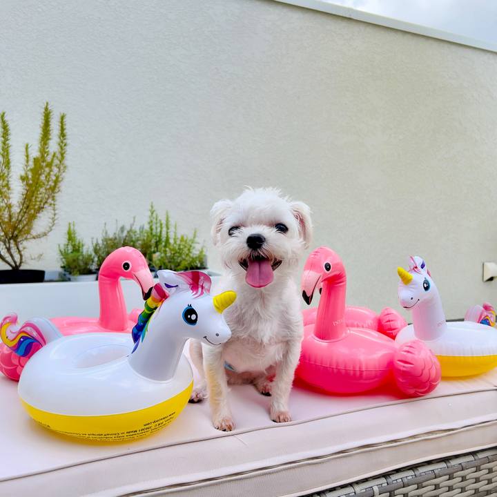 F4269948 e708 48fc 8022 a13de4f11798 1691645255287