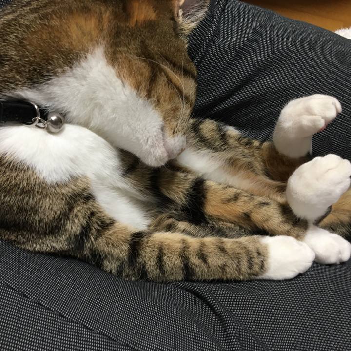 F426b0f7 eb99 4a90 8176 368a2854a2b5 1671969946149