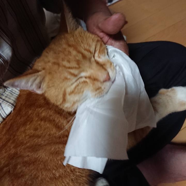 F42715f1 cfb7 43c3 a19d 0758acfd9564 1602395786951