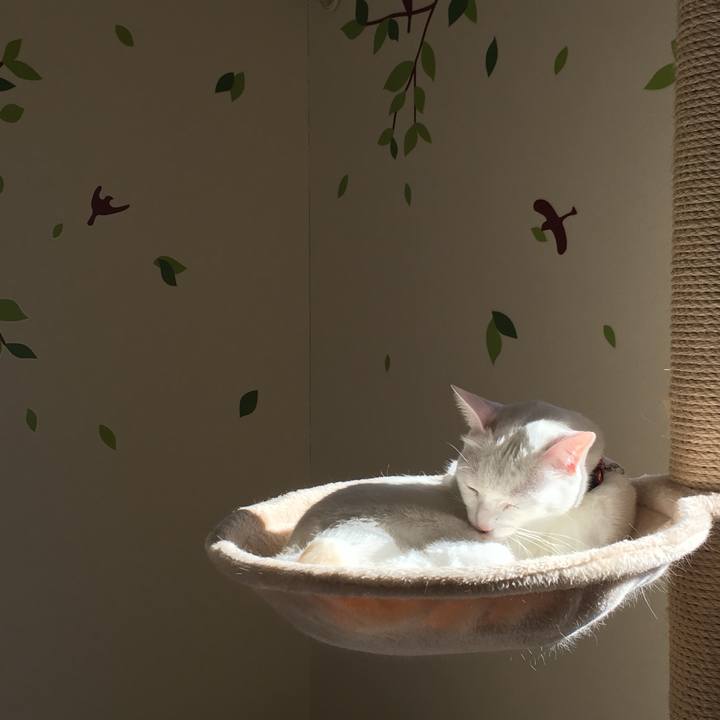 F427af34 d1e0 4f0f 91d1 103306f0eb47 1513212301611