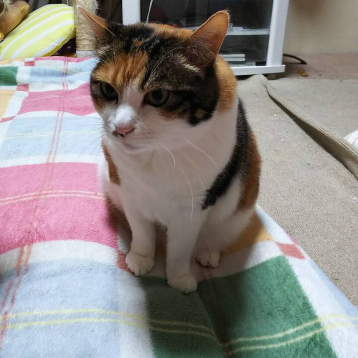 F427b394 8f67 4661 b32e 89bbaea3bede 1542232335848