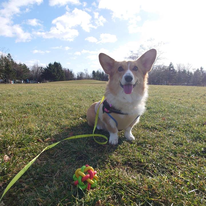 F427dde6 ead9 4aa7 808f 82523aef1acc 1764382090031