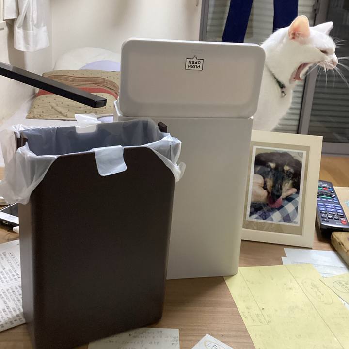 F427f732 61b3 46ab b06d 712fd3c7a76e 1658054978598