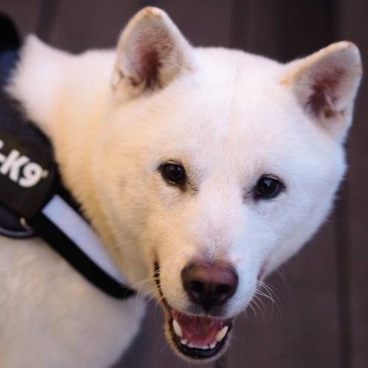 F4284731 f171 4f6e 95b4 2464d6504197 1641991451833