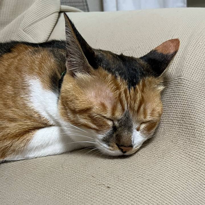 F4286374 ac18 43f6 ac8b 41410b108ded 1747524863904