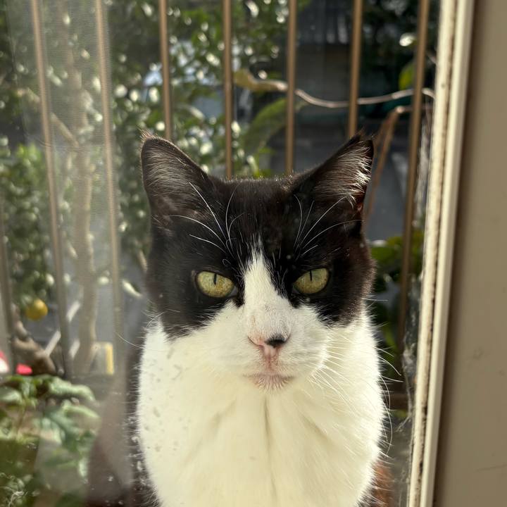 F42882f3 ae89 4fcb a85e 462f8b96d177 1762235248852