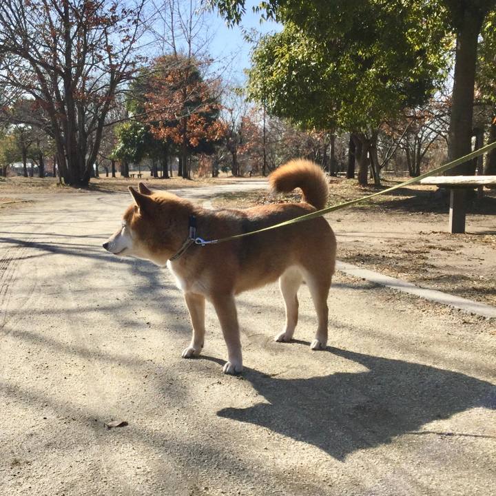 F4288b65 0a41 44ca b45c 966f5d39632d 1611546979845