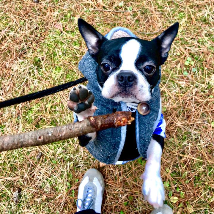 F428b84d 5d87 4fd8 8192 d768bb8811f4 1515569774444