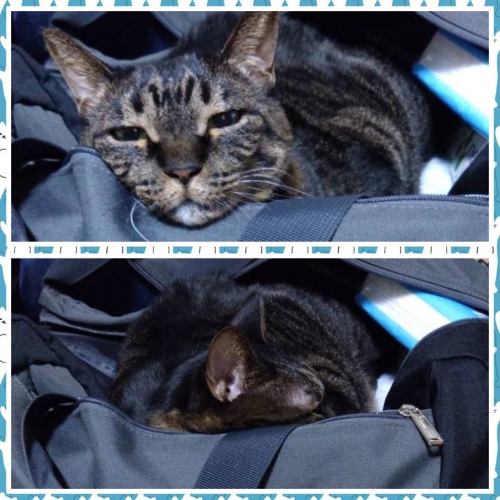 F428dadc b9ec 49d4 aeb9 9c44534e20de 1764600479004