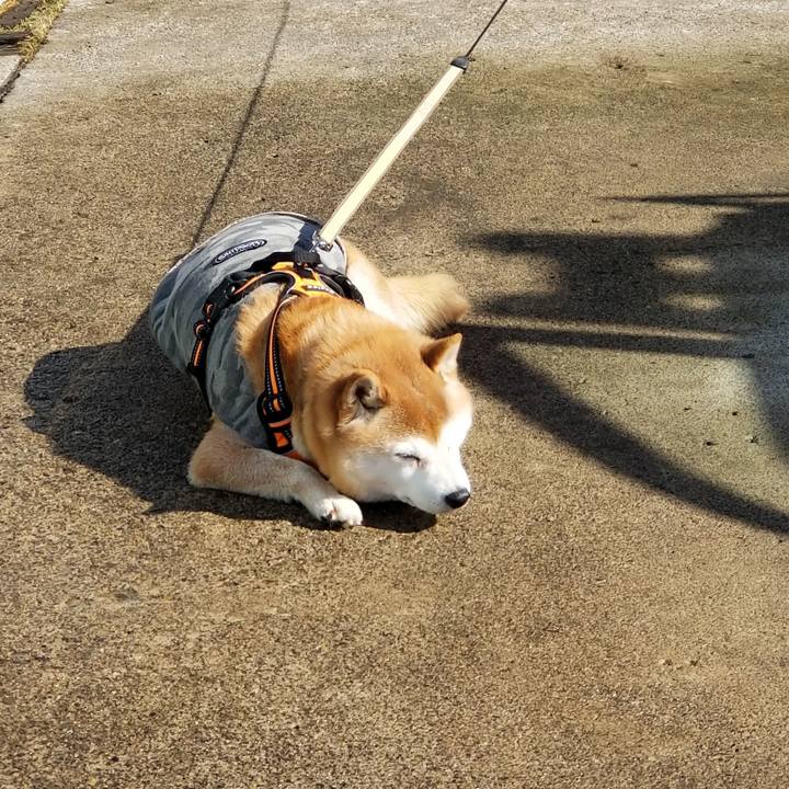 F4293635 d5ca 4b05 b2df b7e3af321896 1644408636202