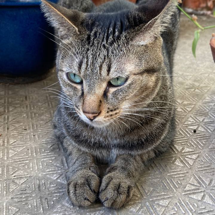 F429806d c38f 4d1d 9d6d bf752c6af8cf 1758675183235